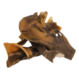 Dried Camel Skin Pieces
