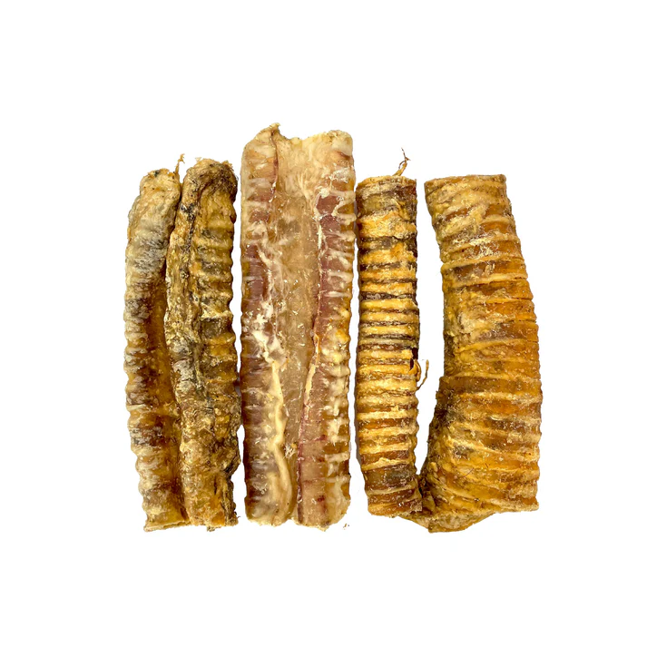 Dried Trachea 20/30cm